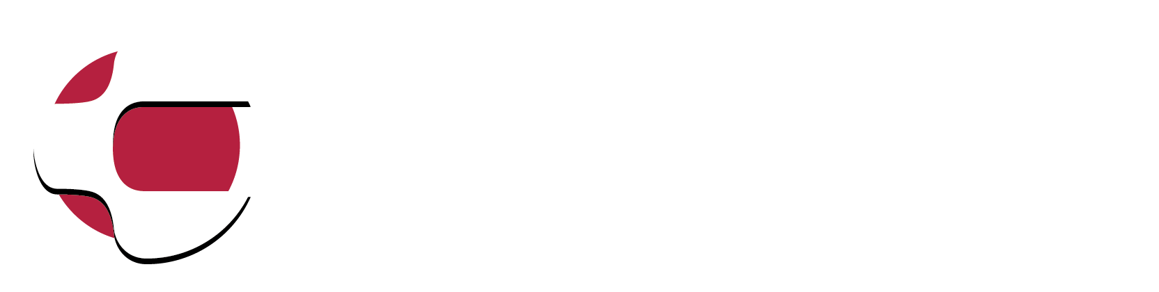 Consids logotyp